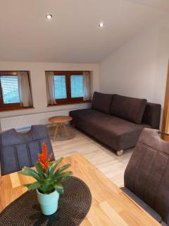 Ferienwohnung Bohinj - 9