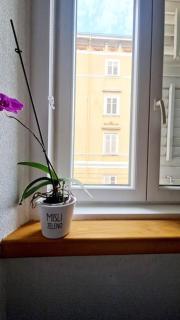 BomBon Appartment - Rijeka - 7