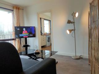 Budget apart with balcony and great view - 9