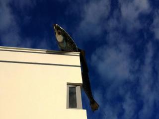 Fish Creek Hotel - 5