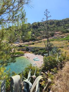 Robinson Crusoe holiday house - Zastražišće - 0