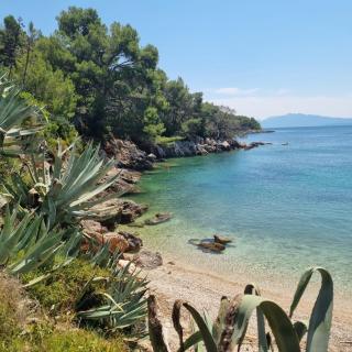 Robinson Crusoe holiday house - Zastražišće - 9