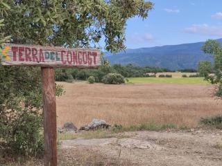Terra del Congost - Alojamientos en la Naturaleza frente al Congost de Montrebei - 9