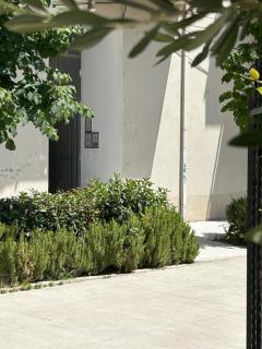 Water Lily Apartments - 1