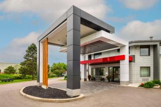 Comfort Inn - Newmarket - 6