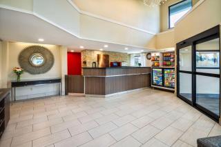 Comfort Inn - Newmarket - 3