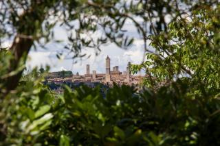 La Capanna di Montauto - San Gimignano - 5