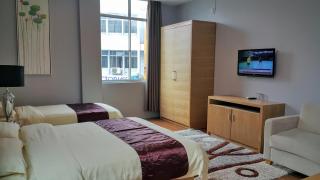 Residence 21 Boutique Inn - Miri - 2