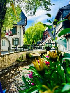 Moderne Altstadt Apartments - Marktplatznähe- ruhige zentrale Lage - Natur&Kultur - Goslar - 9