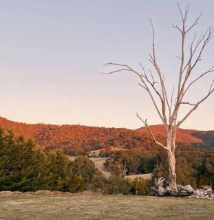 Highland Ten - Luxury Rustic Retreat - Sleeps 10 - Merrijig - 5