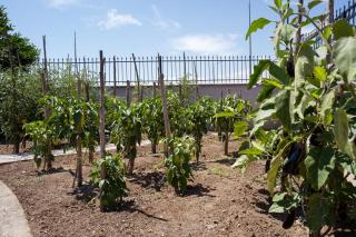 Hotel Agistro - Angistron - 1