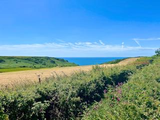 22 Salcombe Retreat Uninterrupted View to the Sea - Soar - 5