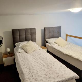 Apartamenty Green Garden z ogrodem i przyjazne dla zwierząt, Racibórz - 1