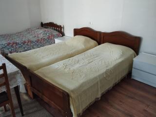 David's entire place 2 - Borjomi - 6