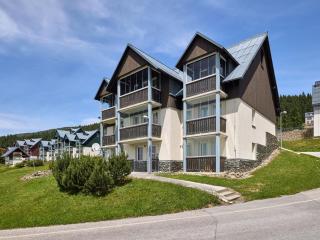 Apartment Horní Mísečky by Interhome - Vítkovice - 6