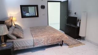 Studio Furnished Apartment - Lahore - 1