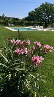 B&B CAMPAGNON VALPOLICELLA - Sant'Ambrogio di Valpolicella - 6