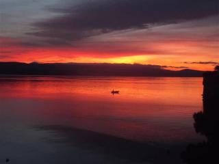 Beachouse Dalmatia in secluded bay, Croatias best - Marusici - 5