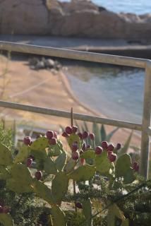 Beachouse Dalmatia in secluded bay, Croatias best - Marusici - 4