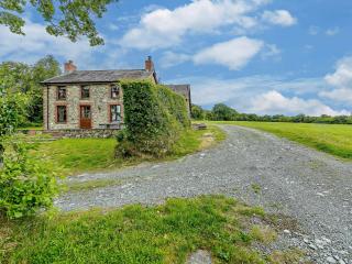 3 Bed in New Quay LLWYD - Pencader - 9
