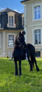 Gite du parc du château de la Bouchatte - Chazemais - 5