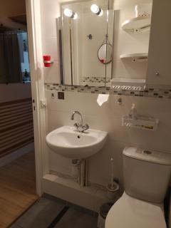 Studette meublée, Ranelagh Paris 16e - 1