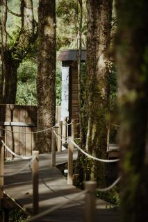 Kanopea Forest Lodge - Saint-Benoît - 7