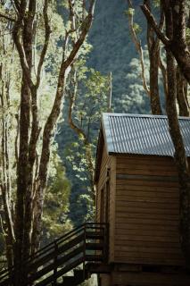 Kanopea Forest Lodge - Saint-Benoît - 2