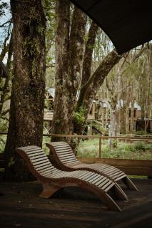 Kanopea Forest Lodge - Saint-Benoît - 4