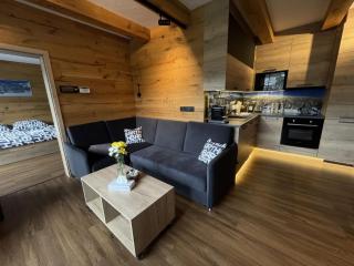 Apartment Špindlerův Mlýn 61 by Interhome - 5