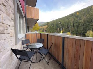Apartment Rezidence Krakonoš 105 by Interhome - Pec pod Sněžkou - 9