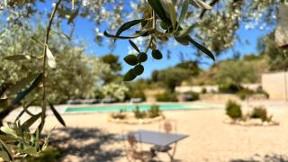 La Bergerie des Pottiers. Mas rénové climatisation Piscine - Crillon-le-Brave - 6