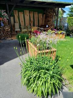 Ferienwohnung Greifenbach, Gartennutzung, Haustiere willkommen - Geyer - 7