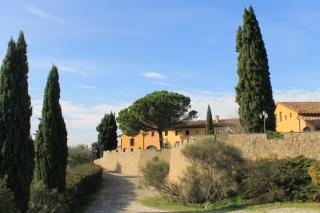 Il Borgo di Montereggi - Limite - 2