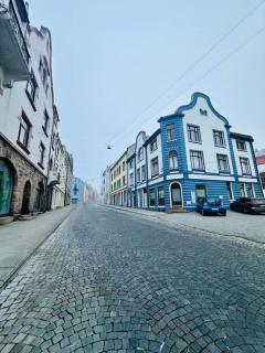 Authenic Art Nouveau Apartment in the city-center - 1