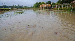 Nornnadubua - Uthai Thani - 9
