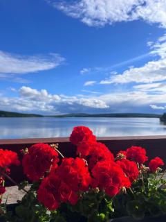 Jauri Resort - Kemijärvi - 5