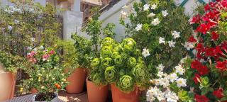 Apartamentos Los Descalzos Ángel With Private Terrace Free Parking - Ronda - 9