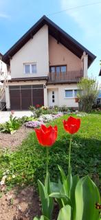Holiday House ILRA - Ilidža - Hrasnica - 8