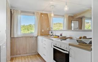 1 Bedroom Amazing Home In Skjern - Hvide Sande - 5
