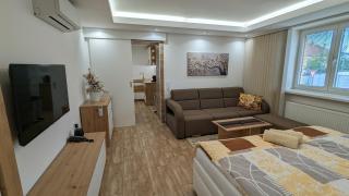 Apartmán Štěpánka - Ratíškovice - 8
