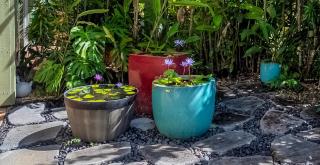 Puamana 2C - Princeville - 4
