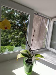 Mäo Apartment - Mäo - 7