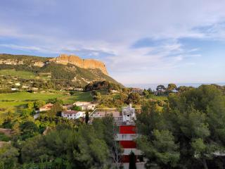 le lavande - Cassis - 7