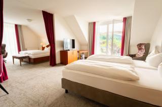 Hotel Rosmarin - Bodman-Ludwigshafen - 3