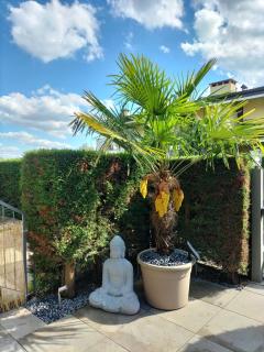 Apartament Nadine - 6