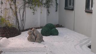 Hotel Domus - 3
