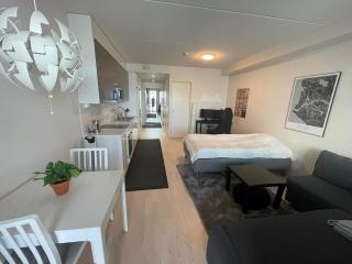 Tilava yksiö hyvällä sijainnilla - 2