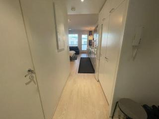 Tilava yksiö hyvällä sijainnilla - 3