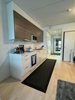 Tilava yksiö hyvällä sijainnilla - 5